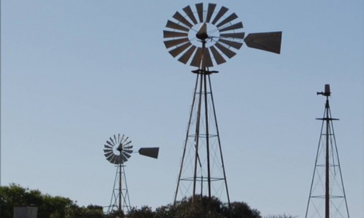 windmills1