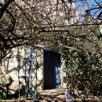 Pieta Tool room