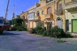 Destruction-of-Trees-at-Nadur-e1419326790541