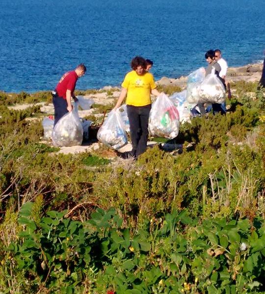 clean-up-of-the-Southern-Coast-02